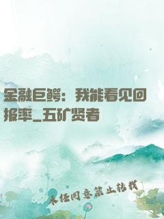 金融巨鳄：我能看见回报率