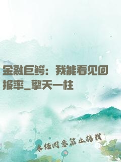 金融巨鳄：我能看见回报率