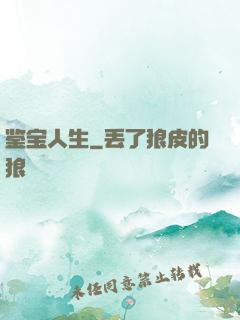 鉴宝人生