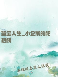 鉴宝人生