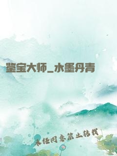 鉴宝大师
