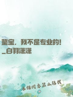 鉴宝，我不是专业的！