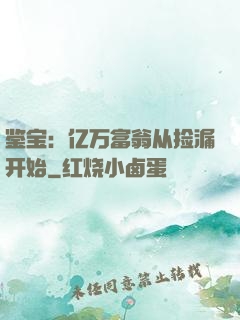 鉴宝：亿万富翁从捡漏开始