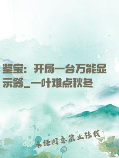鉴宝：开局一台万能显示器