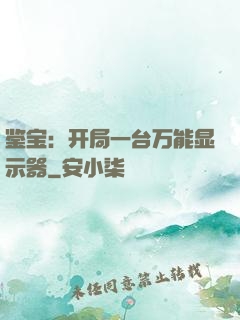 鉴宝：开局一台万能显示器