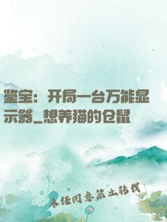 鉴宝：开局一台万能显示器
