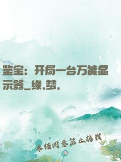 鉴宝：开局一台万能显示器