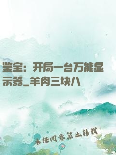 鉴宝：开局一台万能显示器