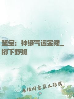 鉴宝：神级气运金瞳