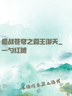 鏖战苍穹之霸王御天