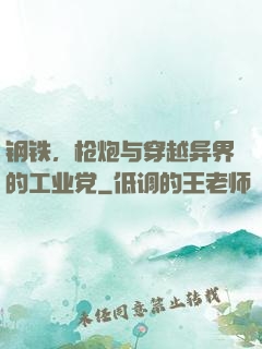钢铁，枪炮与穿越异界的工业党