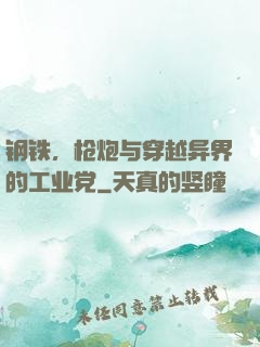 钢铁，枪炮与穿越异界的工业党