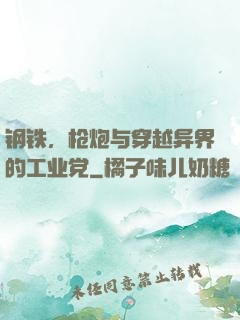 钢铁，枪炮与穿越异界的工业党