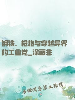 钢铁，枪炮与穿越异界的工业党