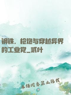 钢铁，枪炮与穿越异界的工业党