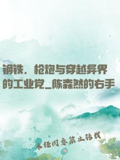 钢铁，枪炮与穿越异界的工业党