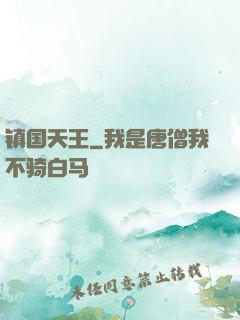 镇国天王