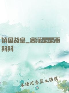 镇国战皇