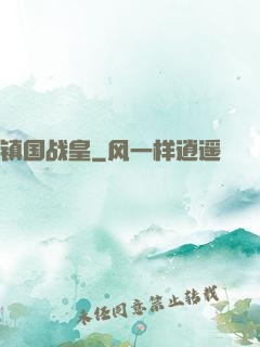 镇国战皇
