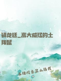 镇龙廷