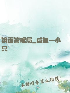 镜面管理局