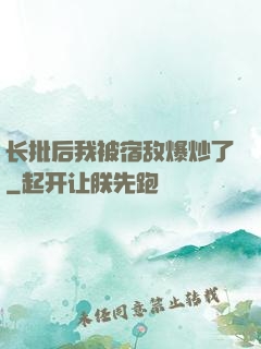 长批后我被宿敌爆炒了