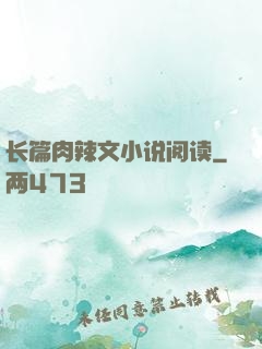 长篇肉辣文小说阅读