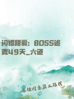 闪婚甜爱：BOSS追妻49天