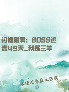 闪婚甜爱：BOSS追妻49天