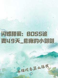 闪婚甜爱：BOSS追妻49天