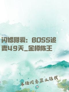 闪婚甜爱：BOSS追妻49天