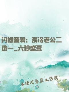 闪婚蜜爱：高冷老公二选一
