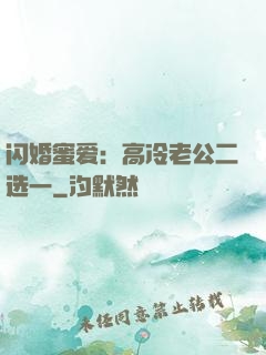 闪婚蜜爱：高冷老公二选一