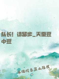 队长！请留步
