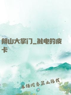 阴山大掌门