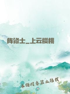 阵修士