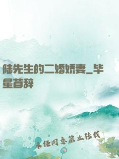 陆先生的二婚娇妻