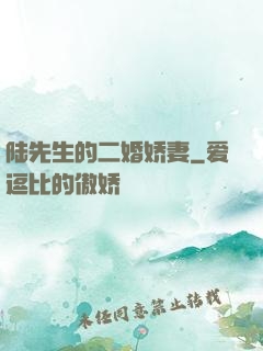 陆先生的二婚娇妻