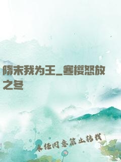隋末我为王