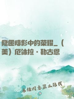隐匿暗影中的荣耀