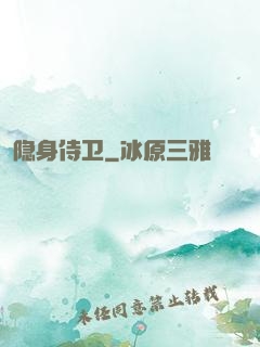 隐身侍卫