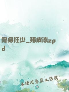 隐身狂少