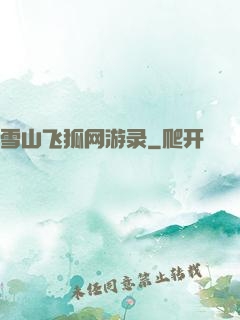 雪山飞狐网游录