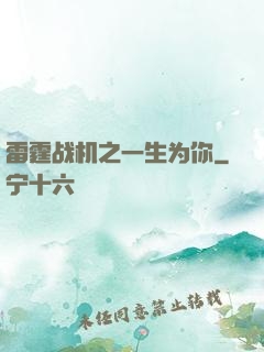 雷霆战机之一生为你