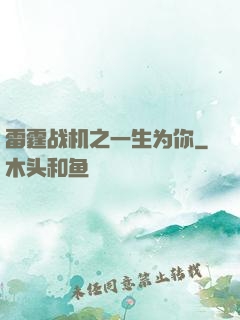 雷霆战机之一生为你