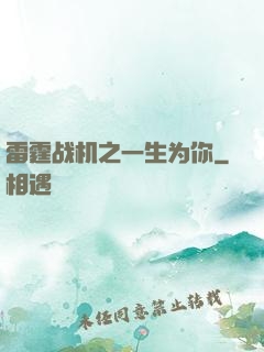 雷霆战机之一生为你