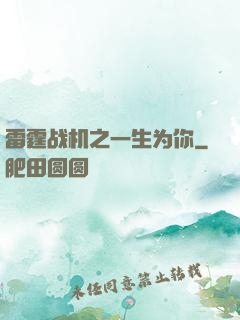 雷霆战机之一生为你