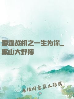 雷霆战机之一生为你