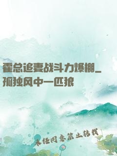 霍总追妻战斗力爆棚