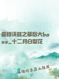 霍格沃兹之幕后大boss
